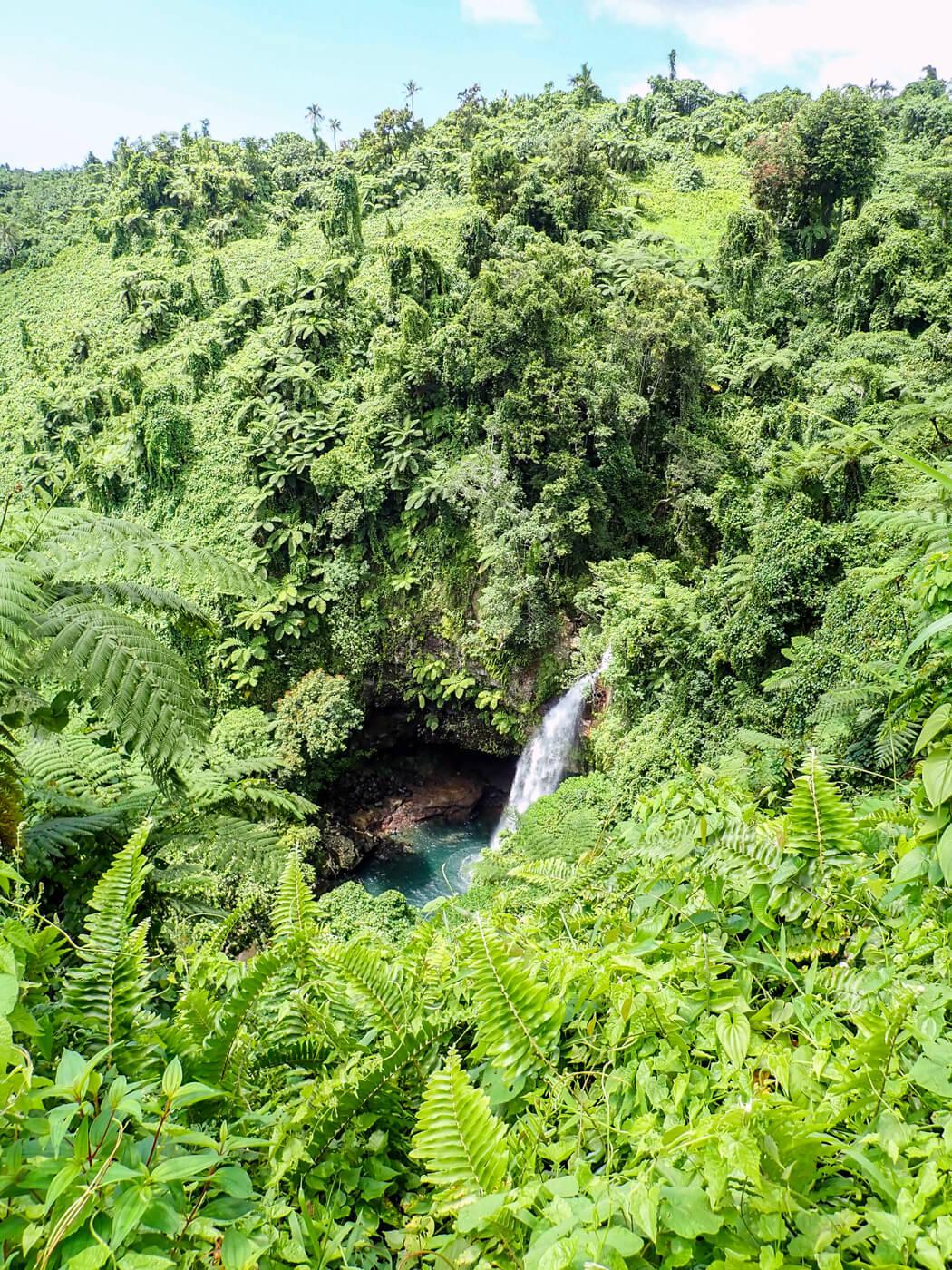 Bouma falls in Bouma National Heritage Park. © Roger Harris