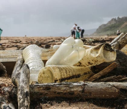 plastic cleanup beach