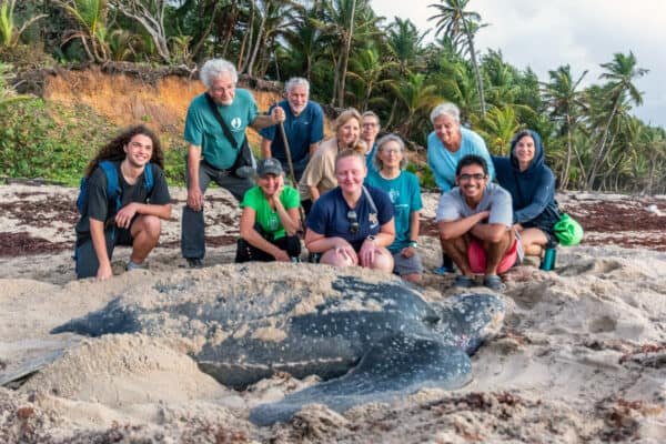 sea turtle volunteers in Trinidad