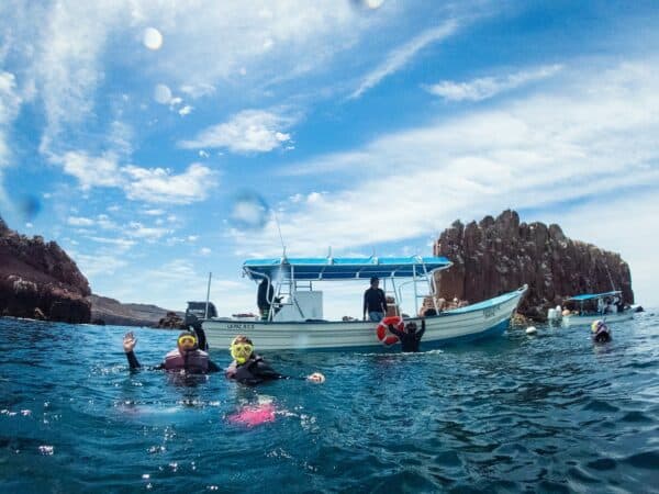 snorkeling near Isla Espiritu Santo