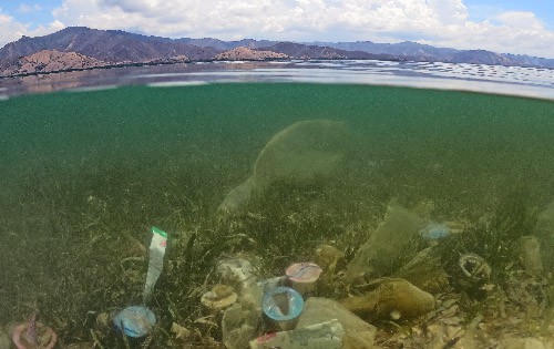 komodo plastic waste underwater